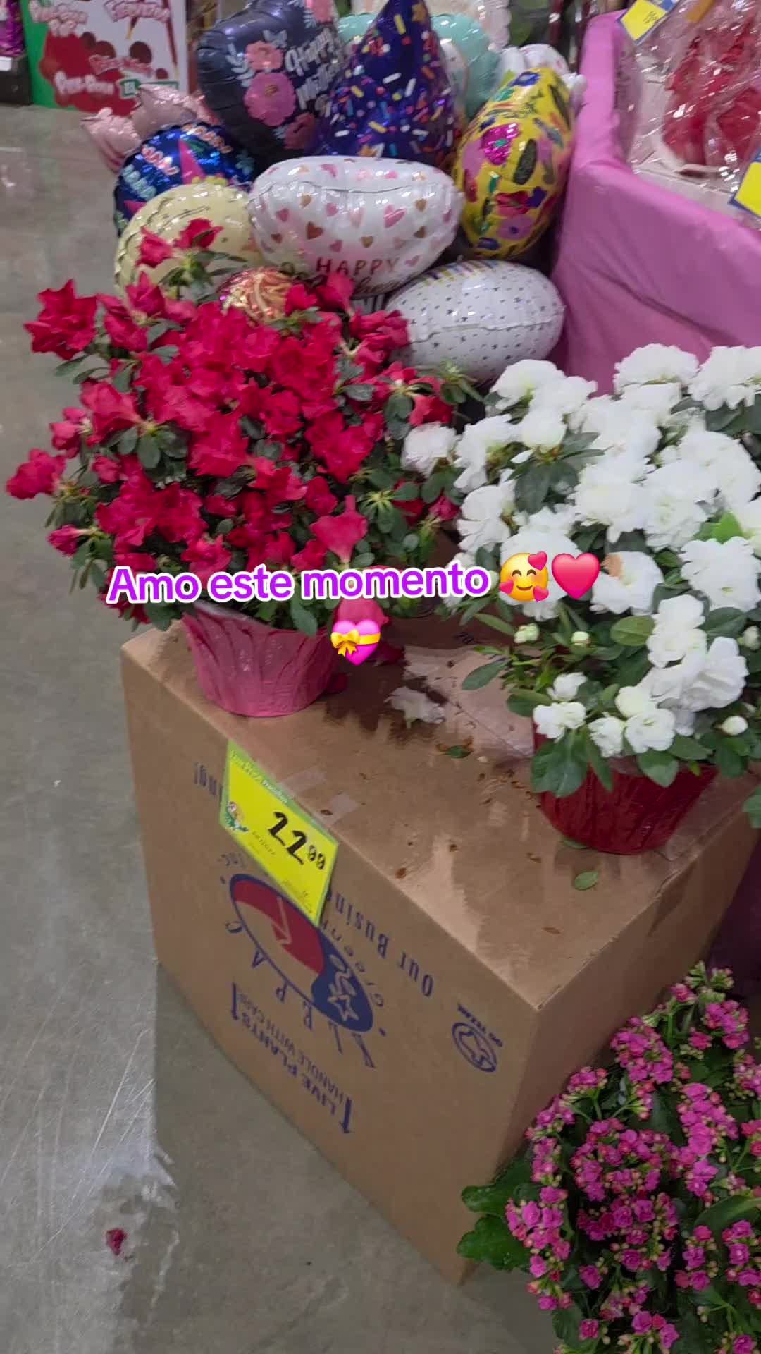 @La Trigueña Emprendedora💅
