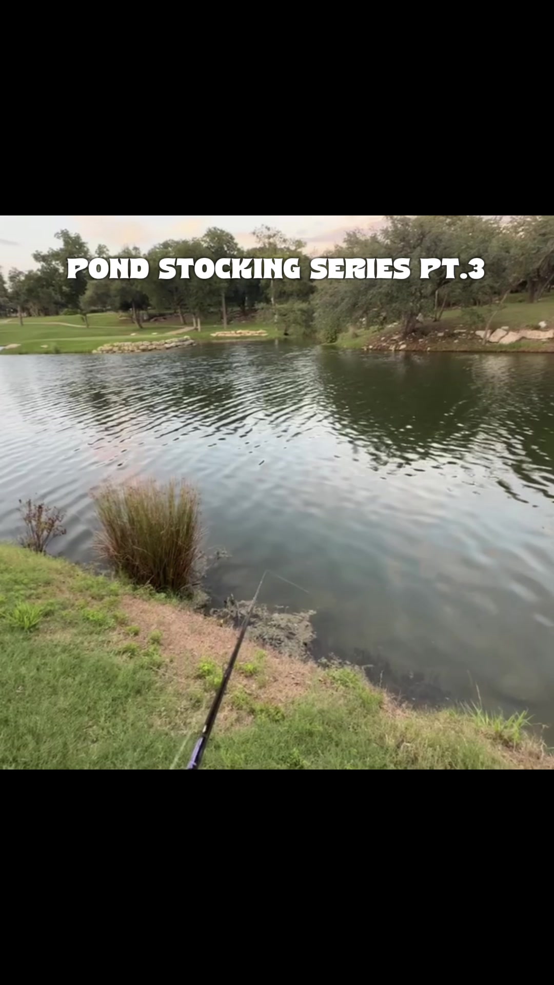 @Unemployed Fishing
