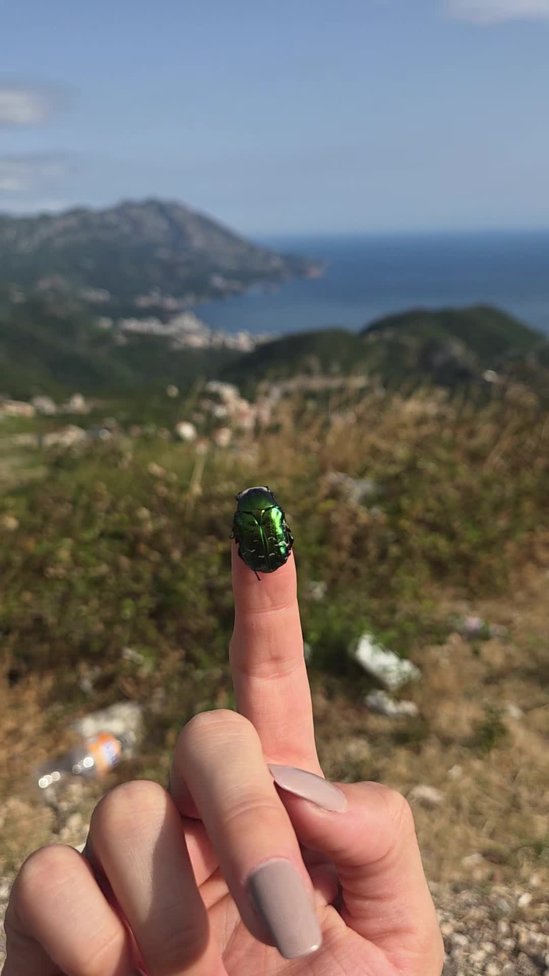 @Ана Катава