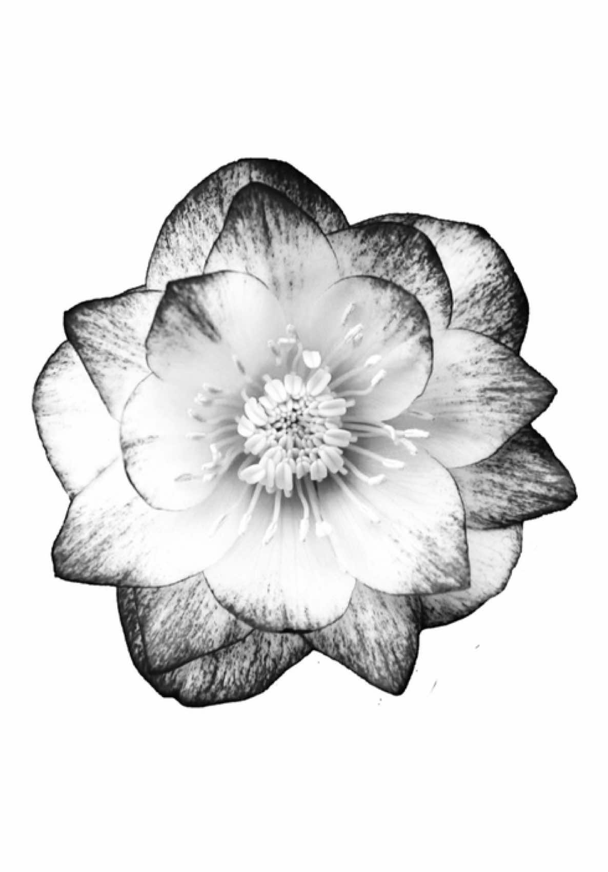 @𝖉𝖎𝖒𝖎♱