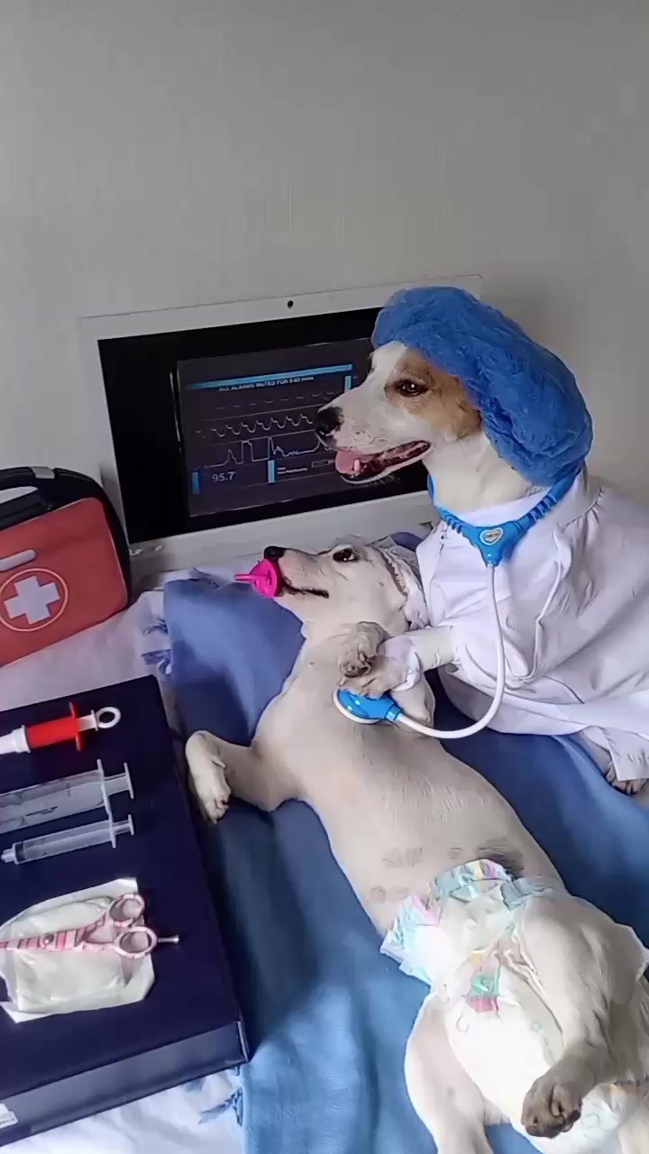 @BRUNO Y MAILO JACKRUSSEL