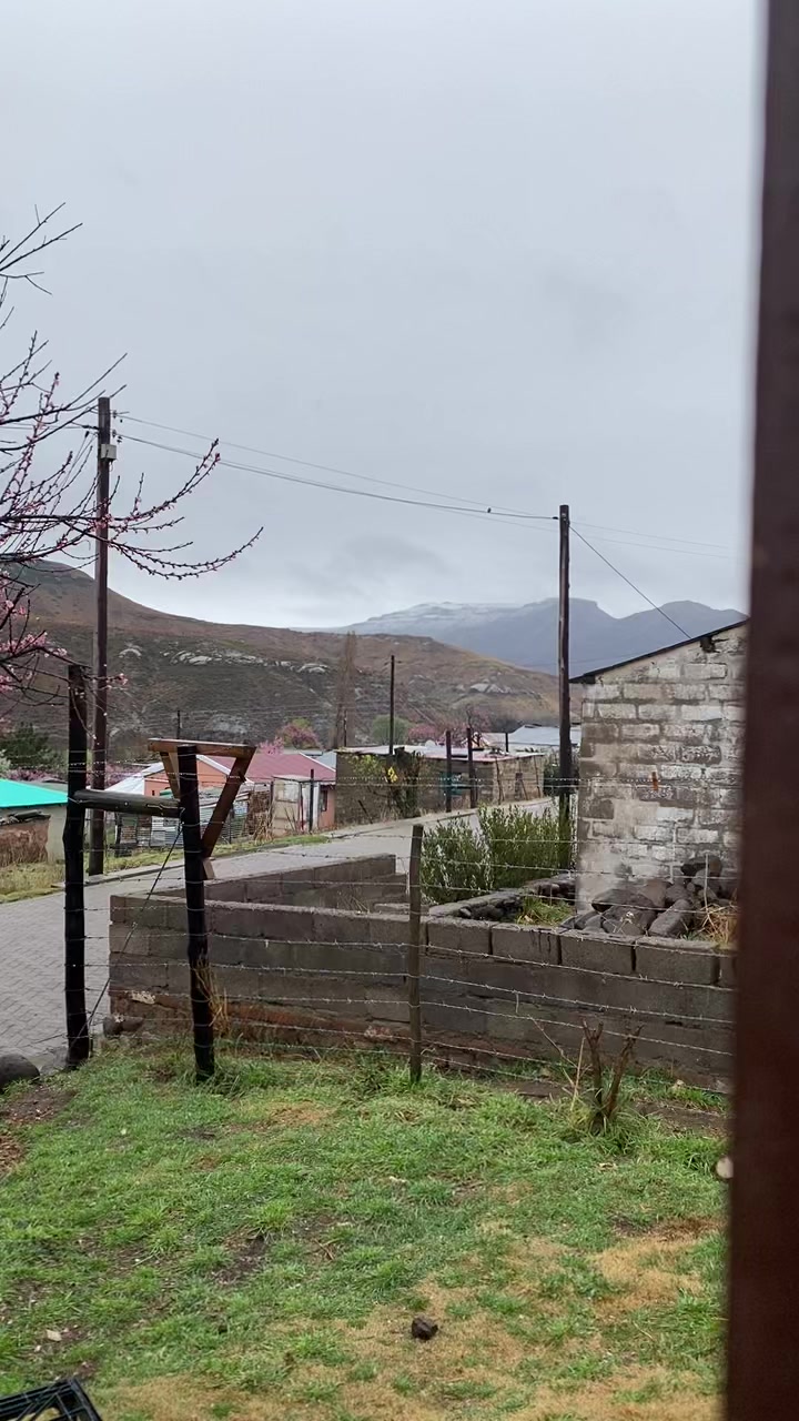 @ZANDIE SA🇿🇦