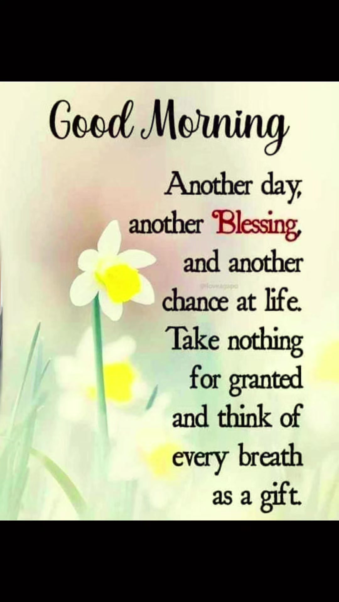 @Shailesh Naicker