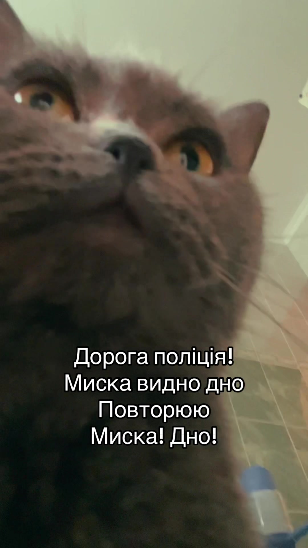@Юлія ◽ Без сценарію