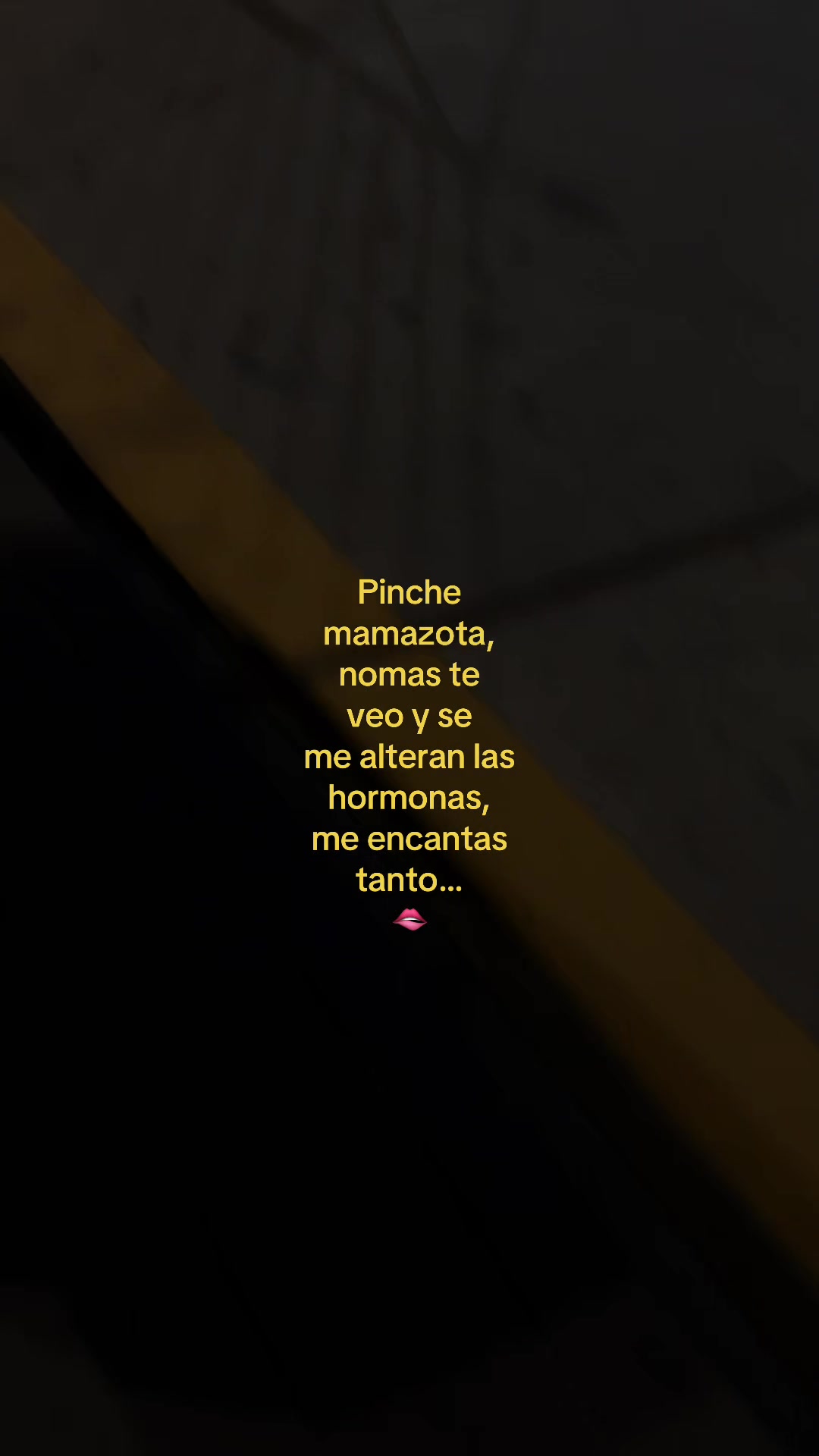 @frsy.txt