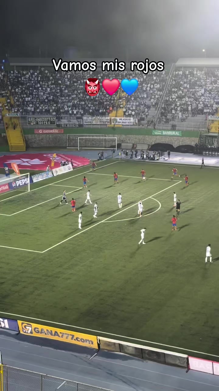 @tefyy19👹💙♥️