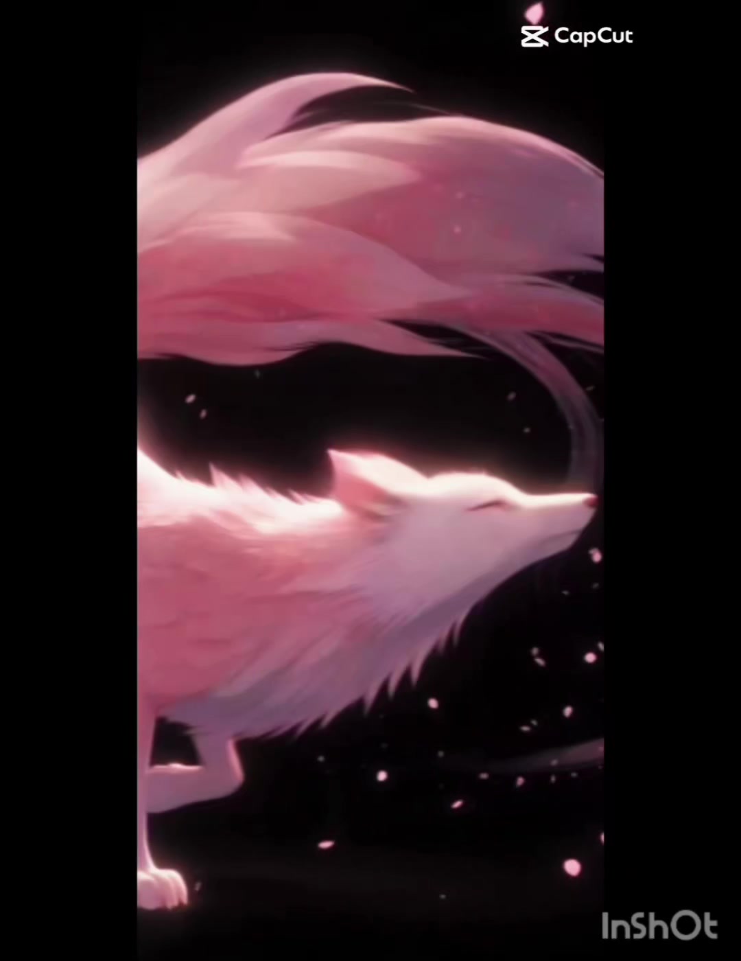 @♛★ᴍᴀʀʏ♡ʟᴏᴠᴇ★♛🇲🇽🫶🌞💫🌛🦊ⷮ🍀
