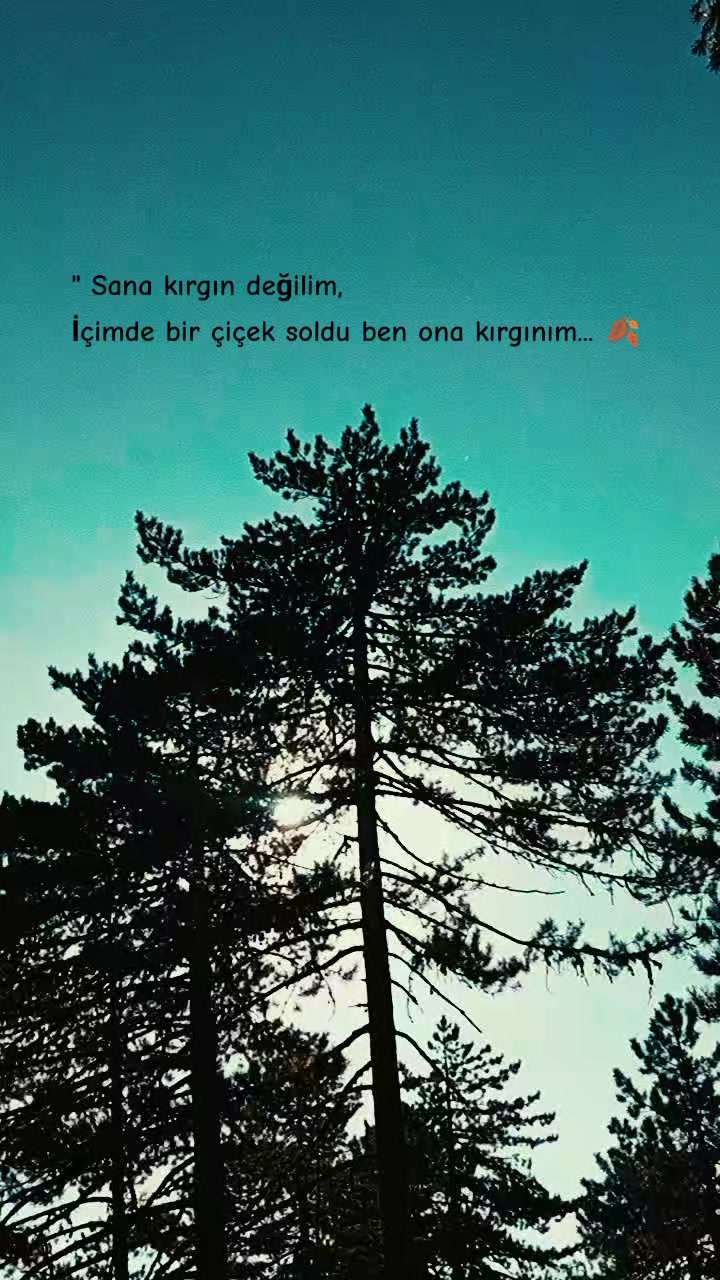 @🍂 ᴾᴼᵞᴿᴬᶻ 🍂