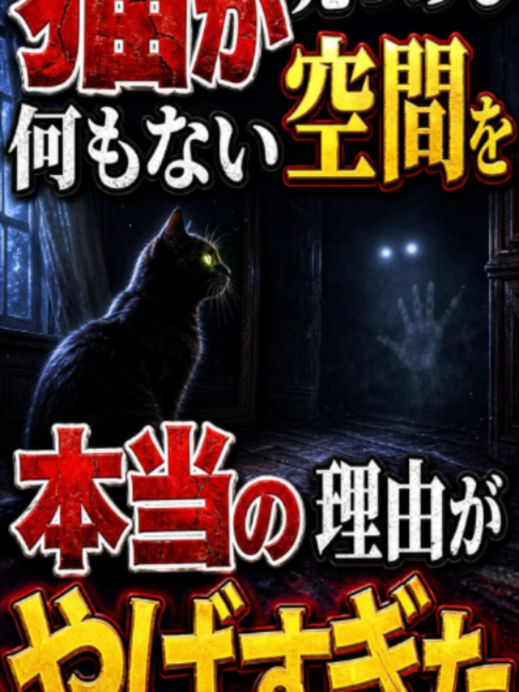 @bikkuri_animal_lab