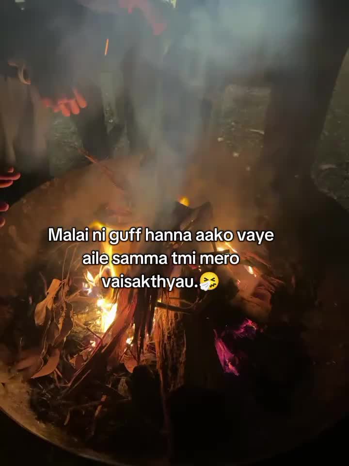 @🐷