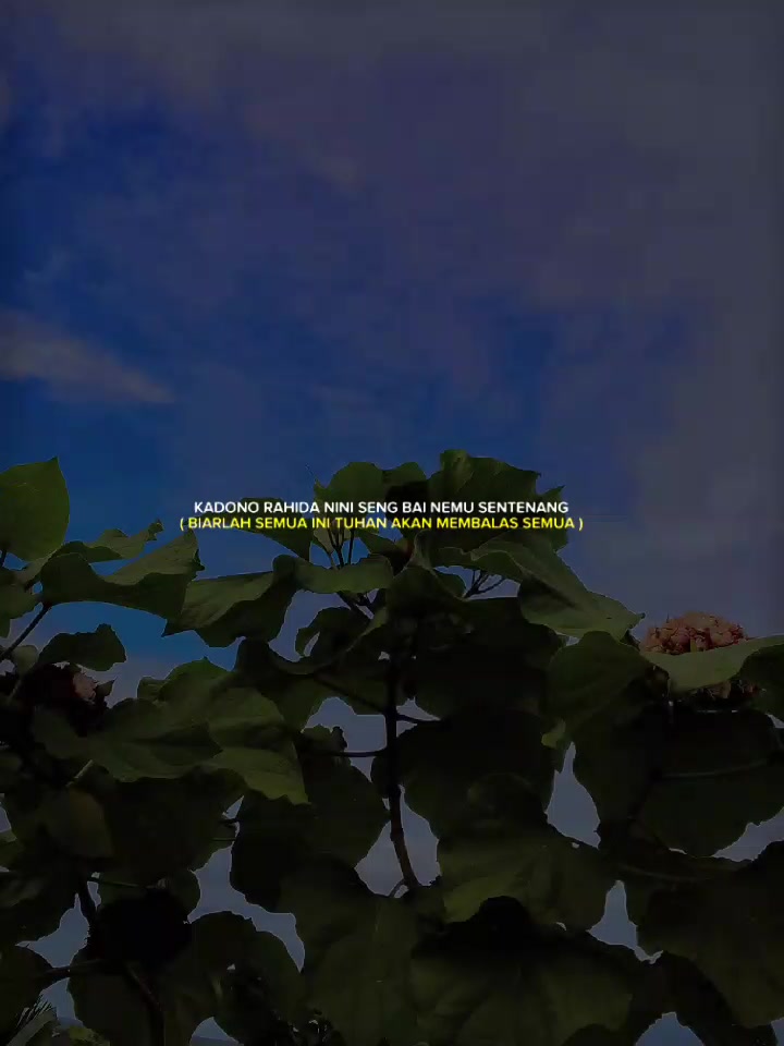 @Elvita Shoop