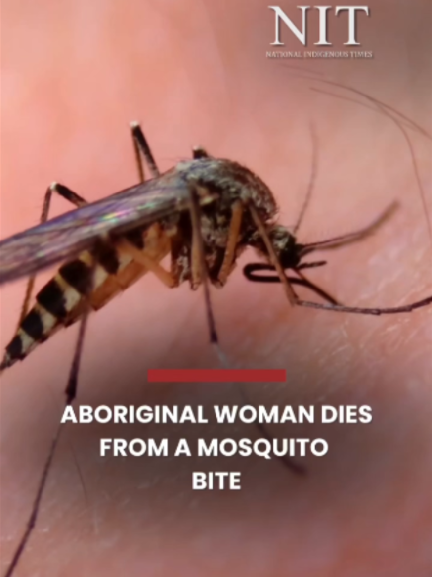 @National Indigenous Times