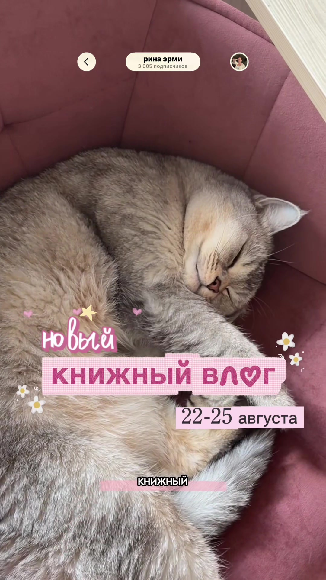 @📚тгк: рина эрми