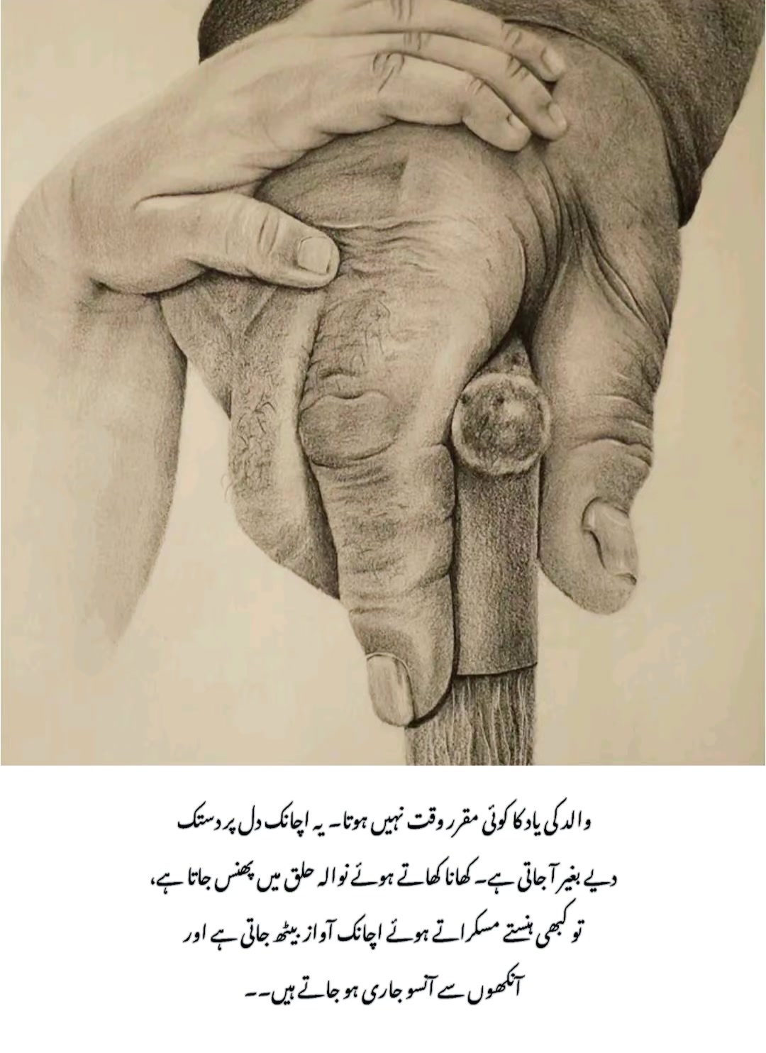 @Ali Awan