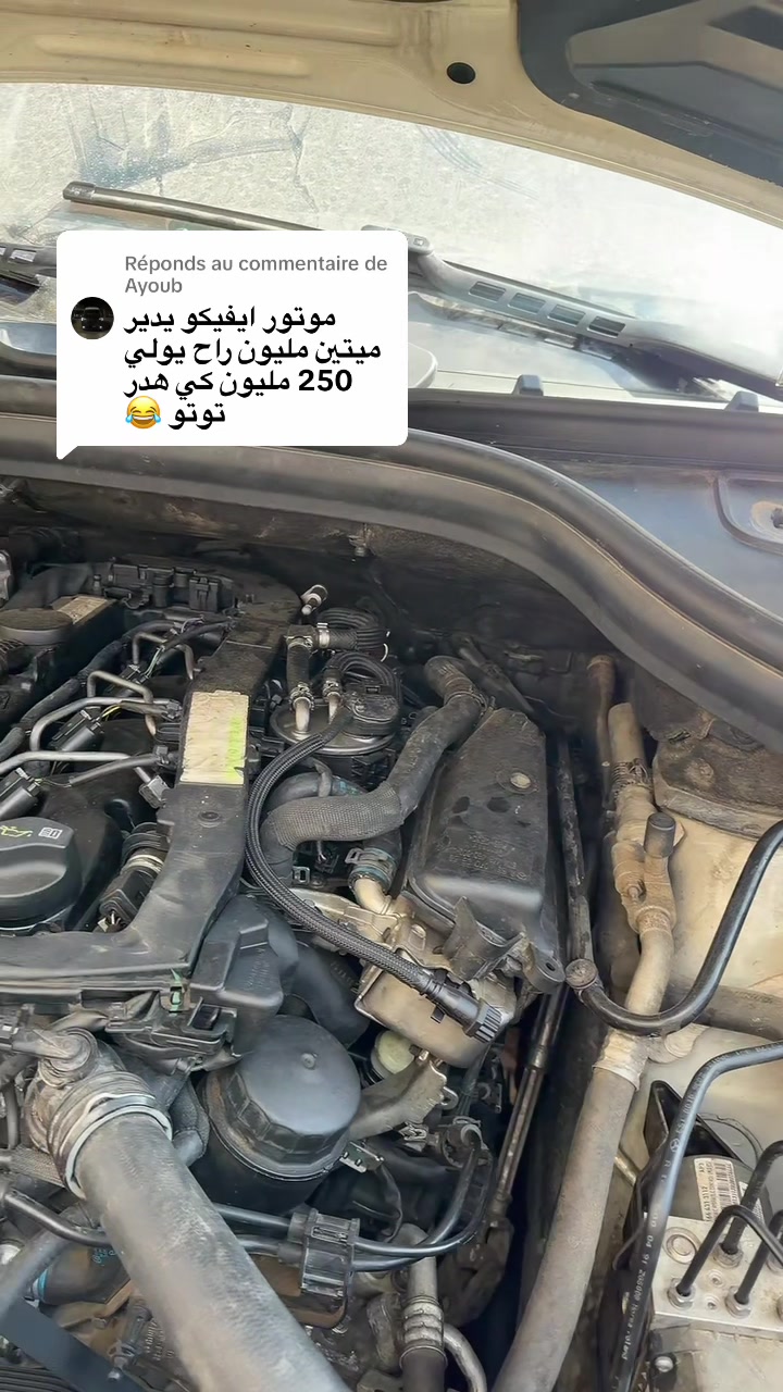 @toutou rangerover