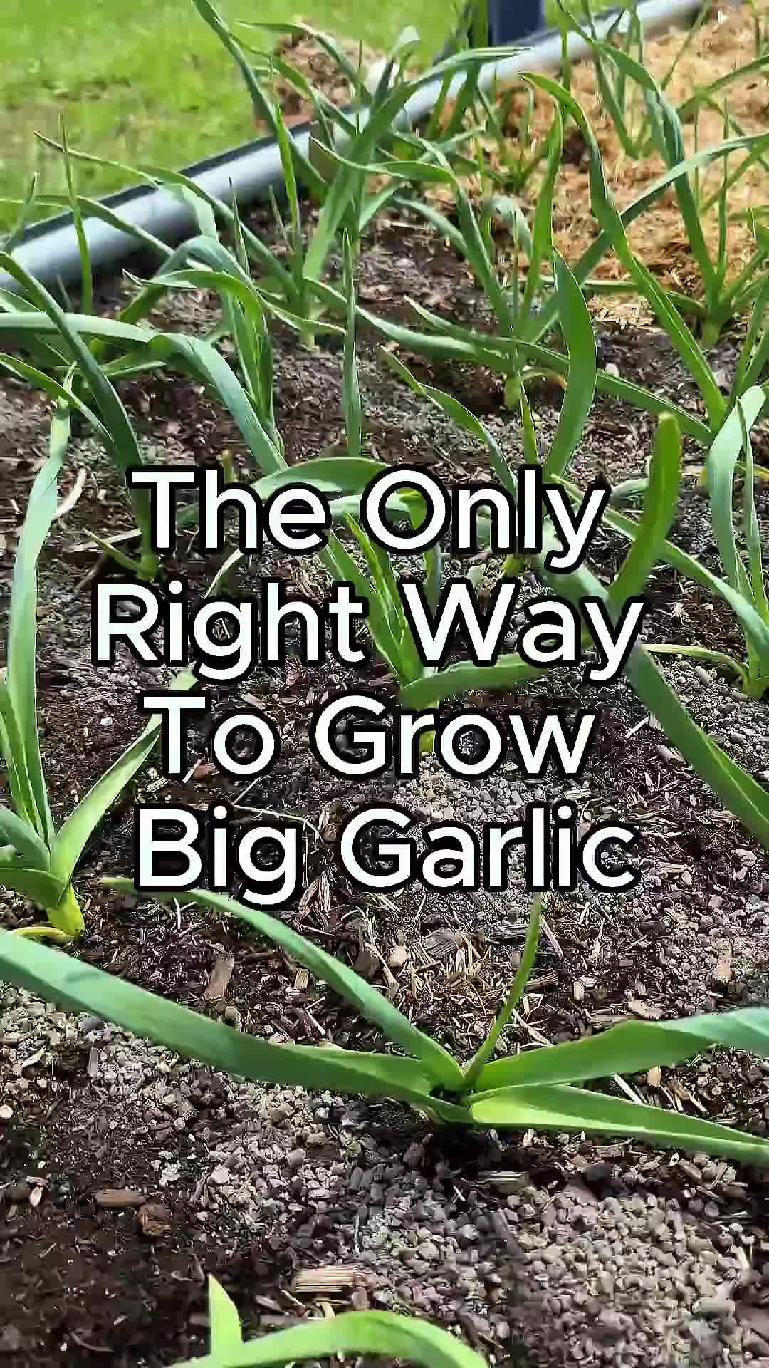 @Farmer 🧑&zwj;🌾