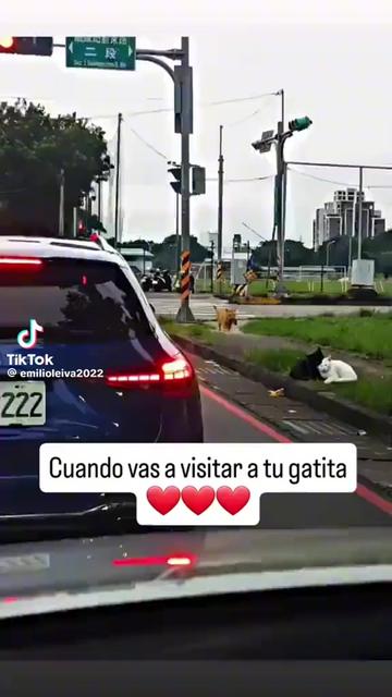 @~LuI&sect;~EL Unico 😁😁😆
