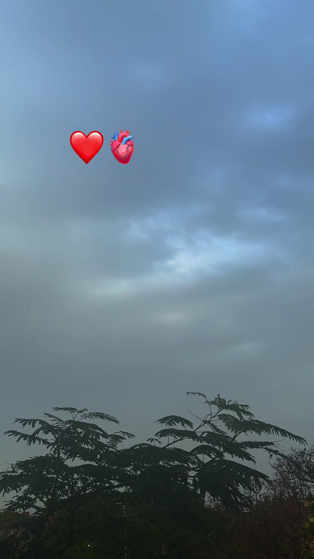 @ahmedabouelrouss