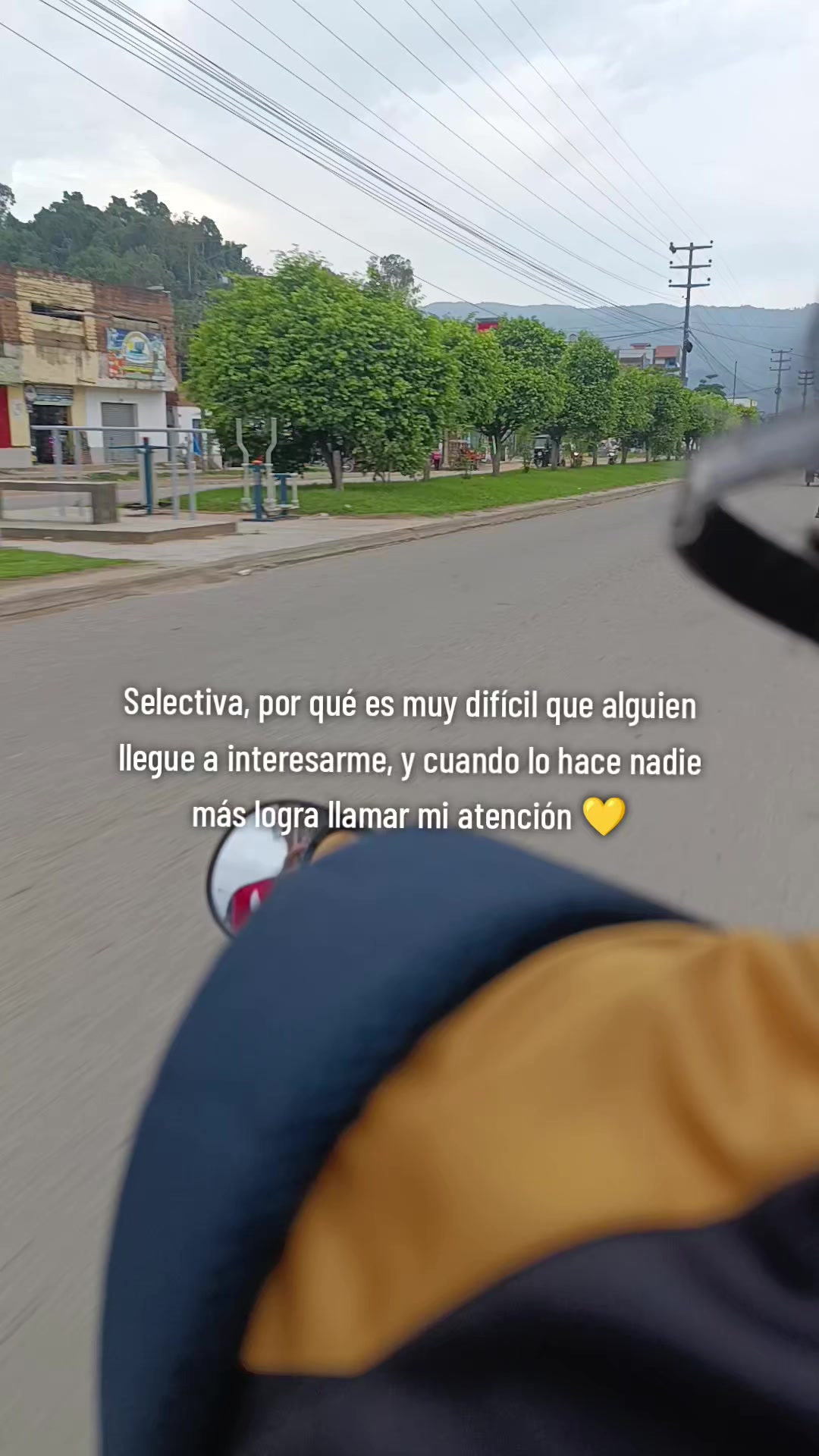 @Mayly Rojas