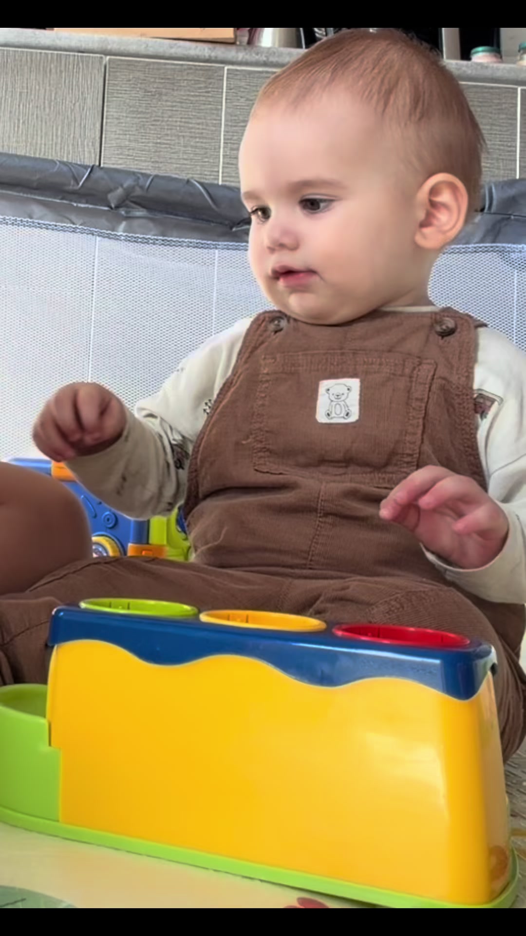 @ნინი ბერაია