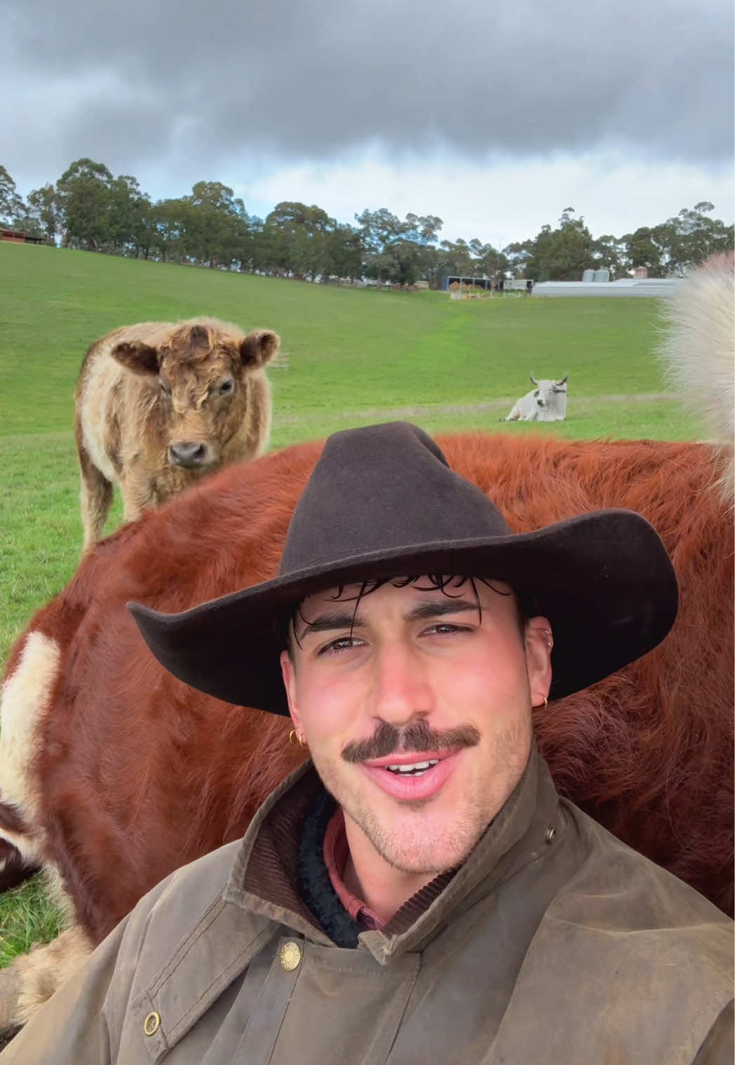 @Liam 🤠