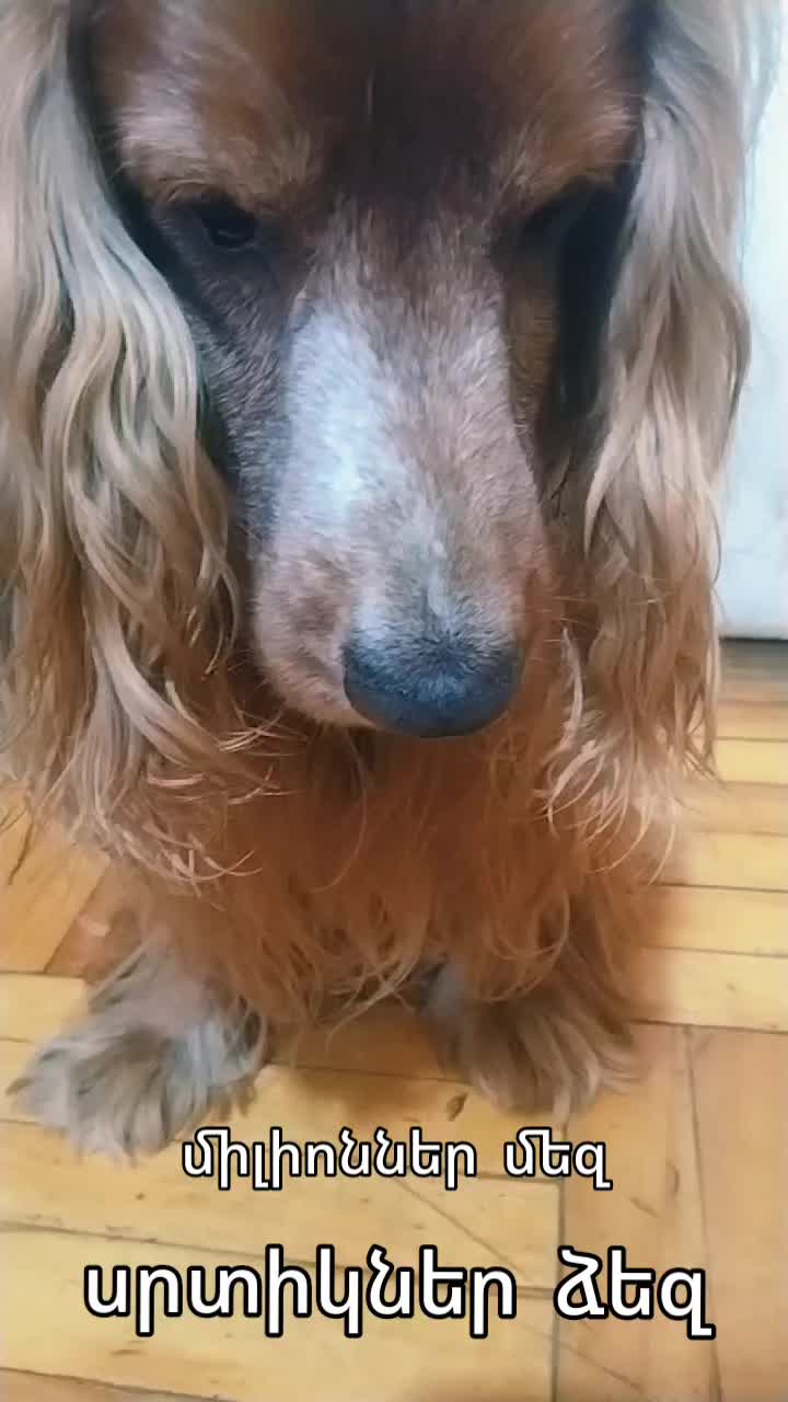 @Артур