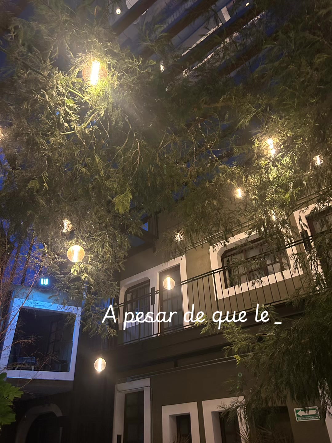 @sunem_line