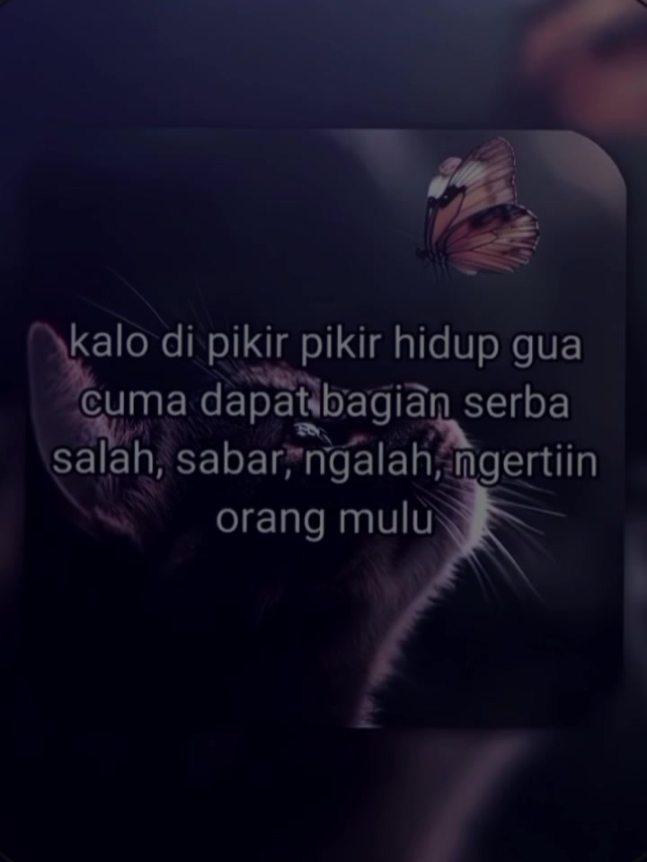 @(A) Nesia_edit "HIATUS"