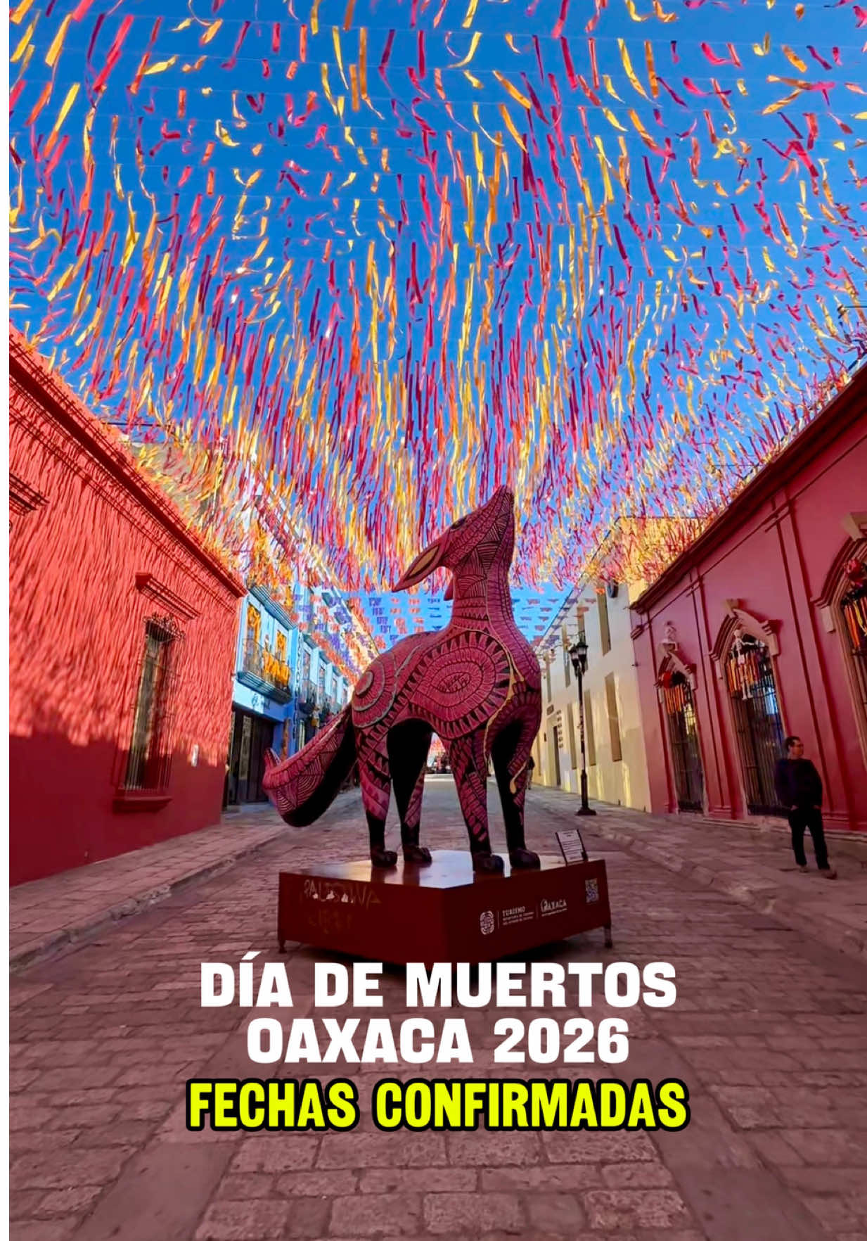 @Edwin Rosales 🇲🇽