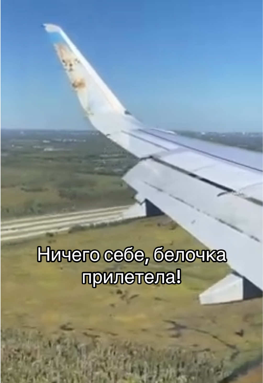@Aviasales Беларусь