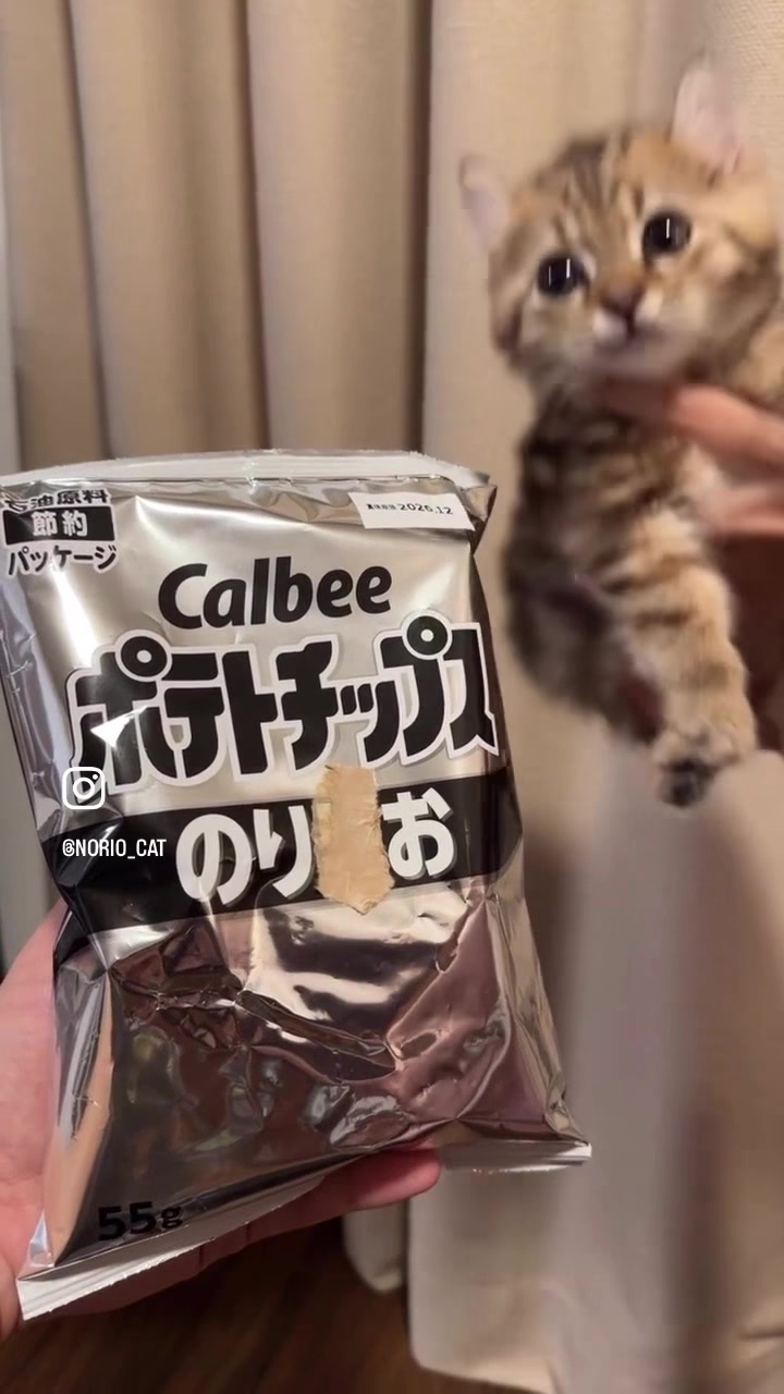 @のりおのTikTok