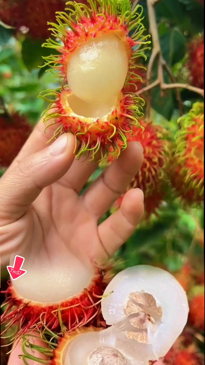 @tới đồ dùng