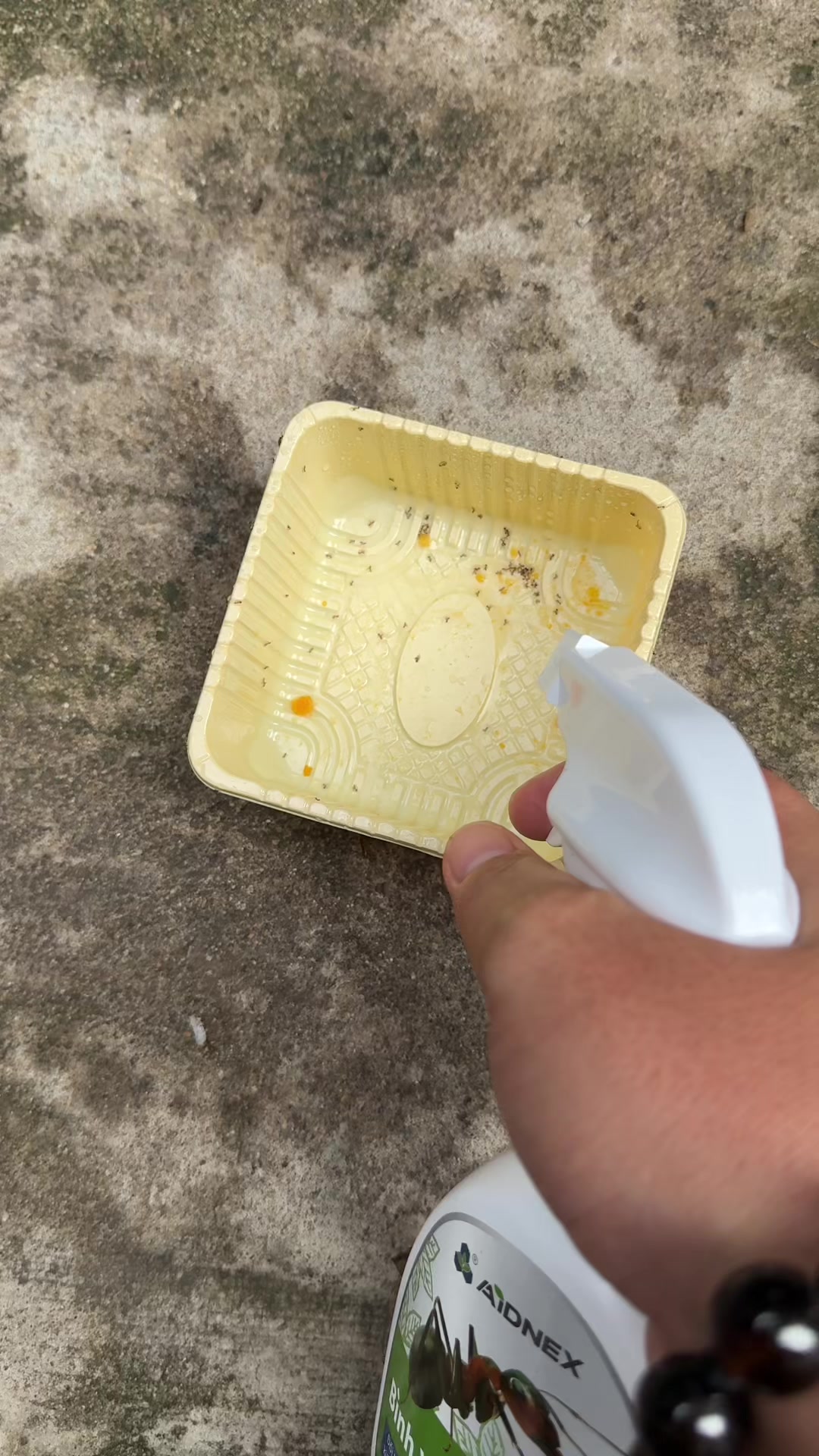 @Trường Hai Ngàn 🐉