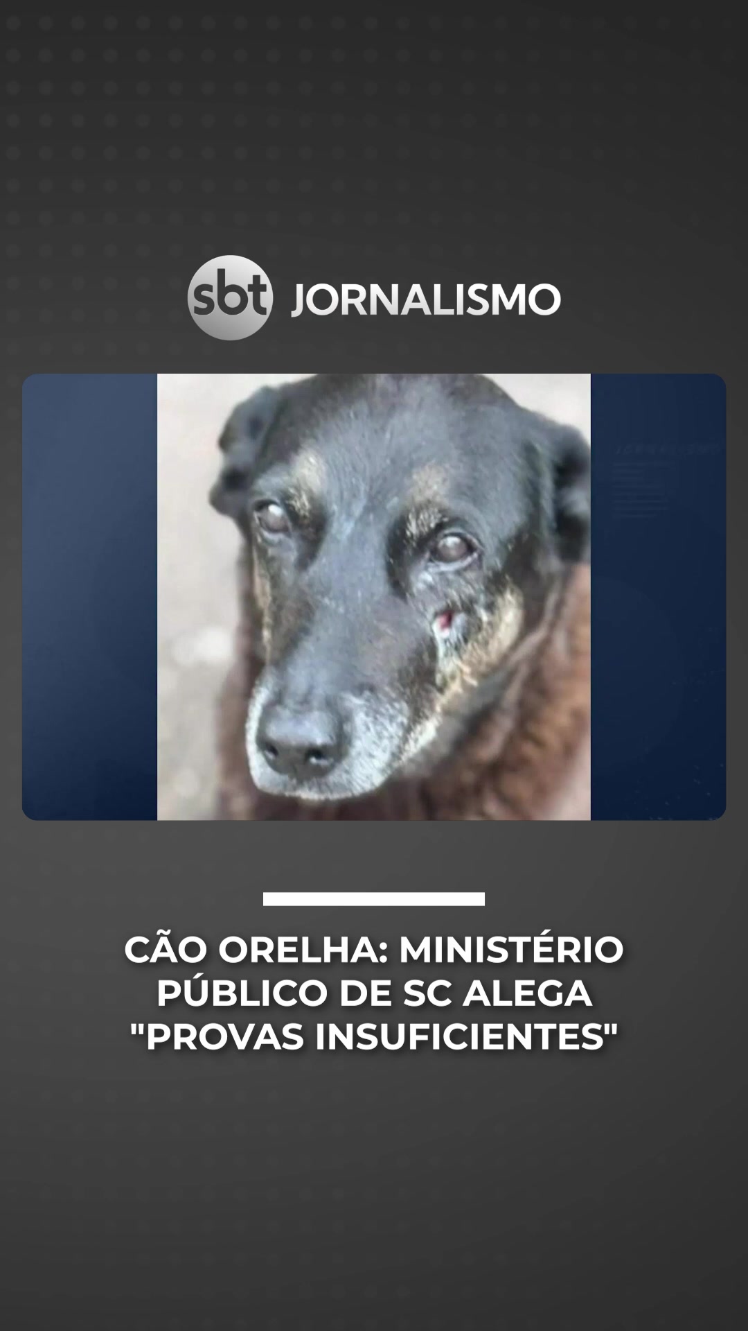 @SBT News