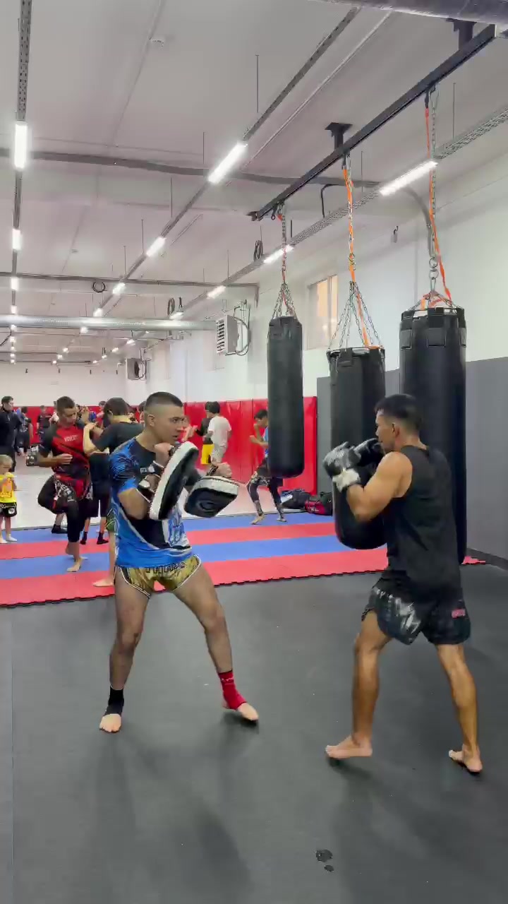 @alash.fighters.kz