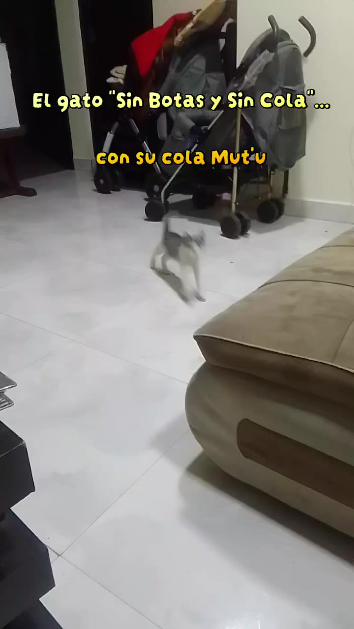@Dr. Cond&oacute;n