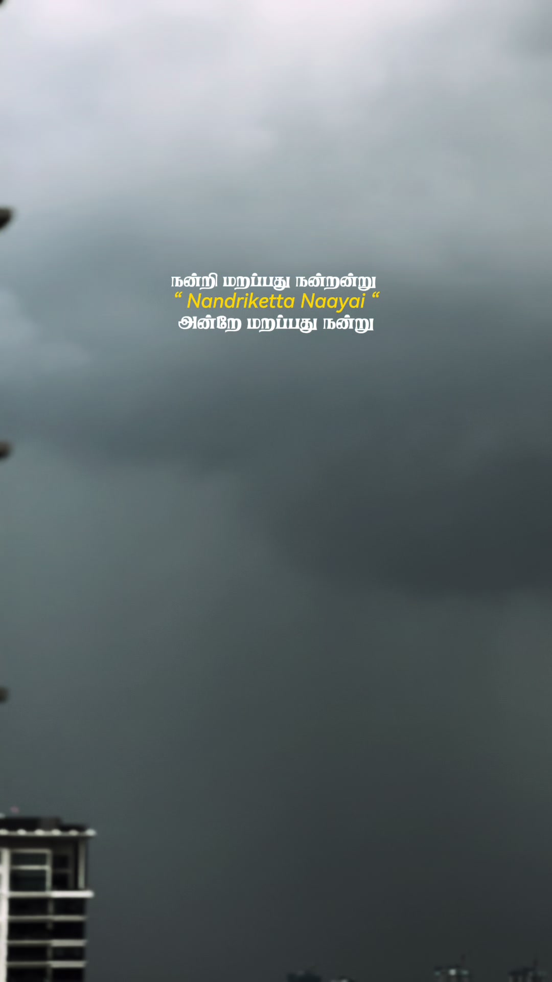 @๐ข๐ธ๐พ๐ต๐ฏ๐พ๐ต๐ต_๐๐ฐ๐ถ