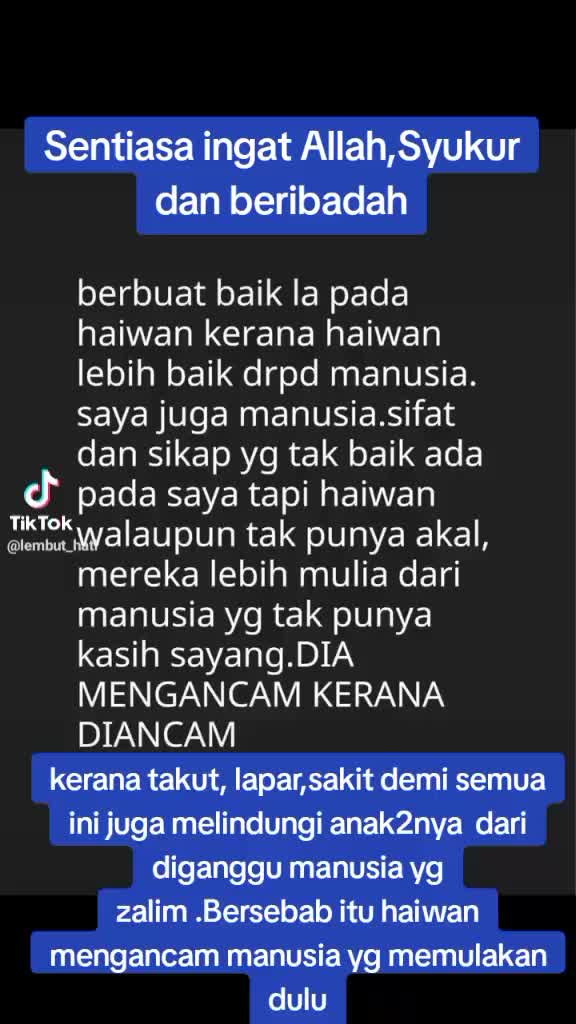 @Shane Anani