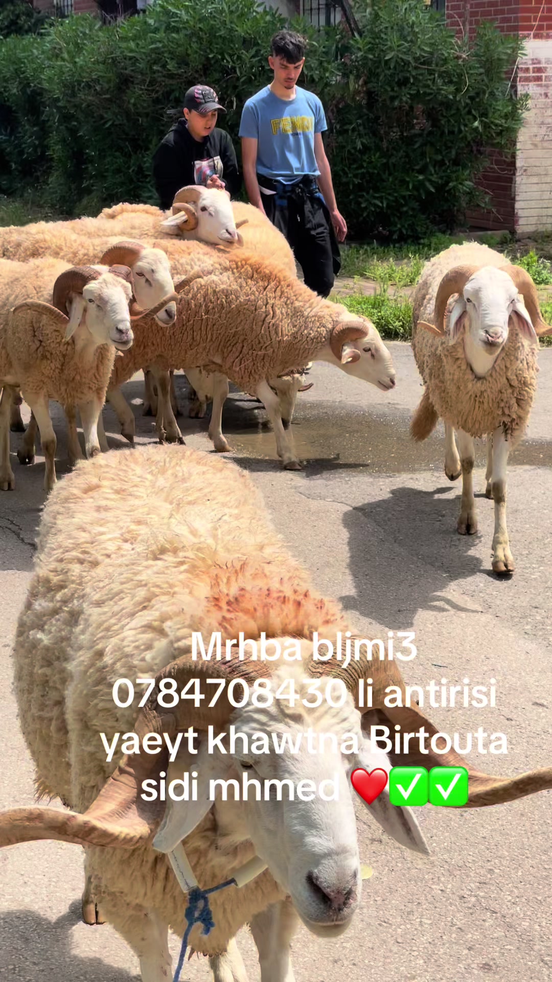 @x_oussama_yamha_x16