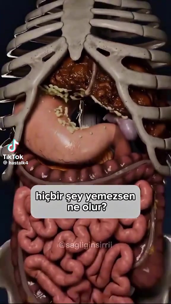 @zeynepwellness