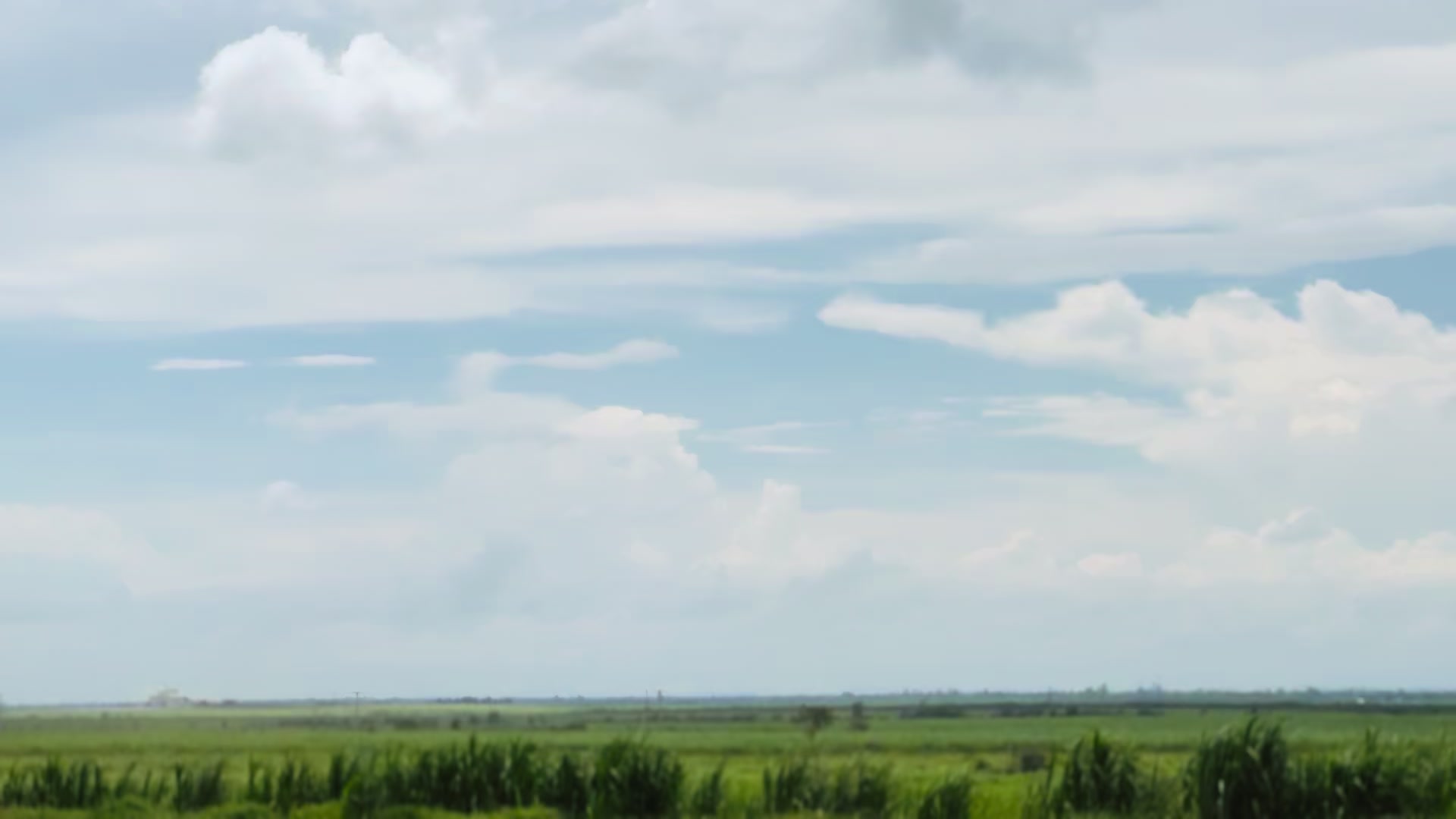 @ប្រូ រាជ 💙