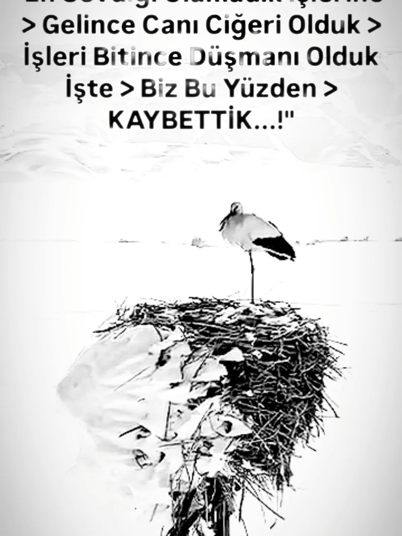 @s̶ᴇ̶s̶s̶ɪ̶̶̇ᴢ̶ ʏ̴ᴀ̴ᴢ̴ᴀ̴ʀ̴"🕊️