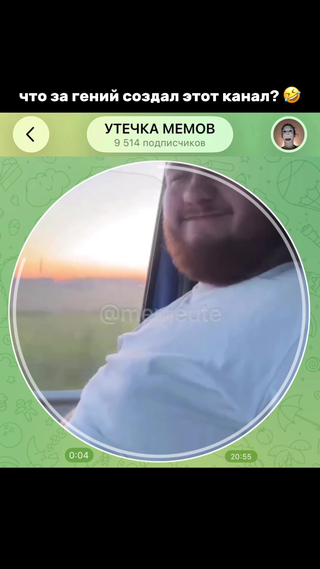 @тгк: memeute