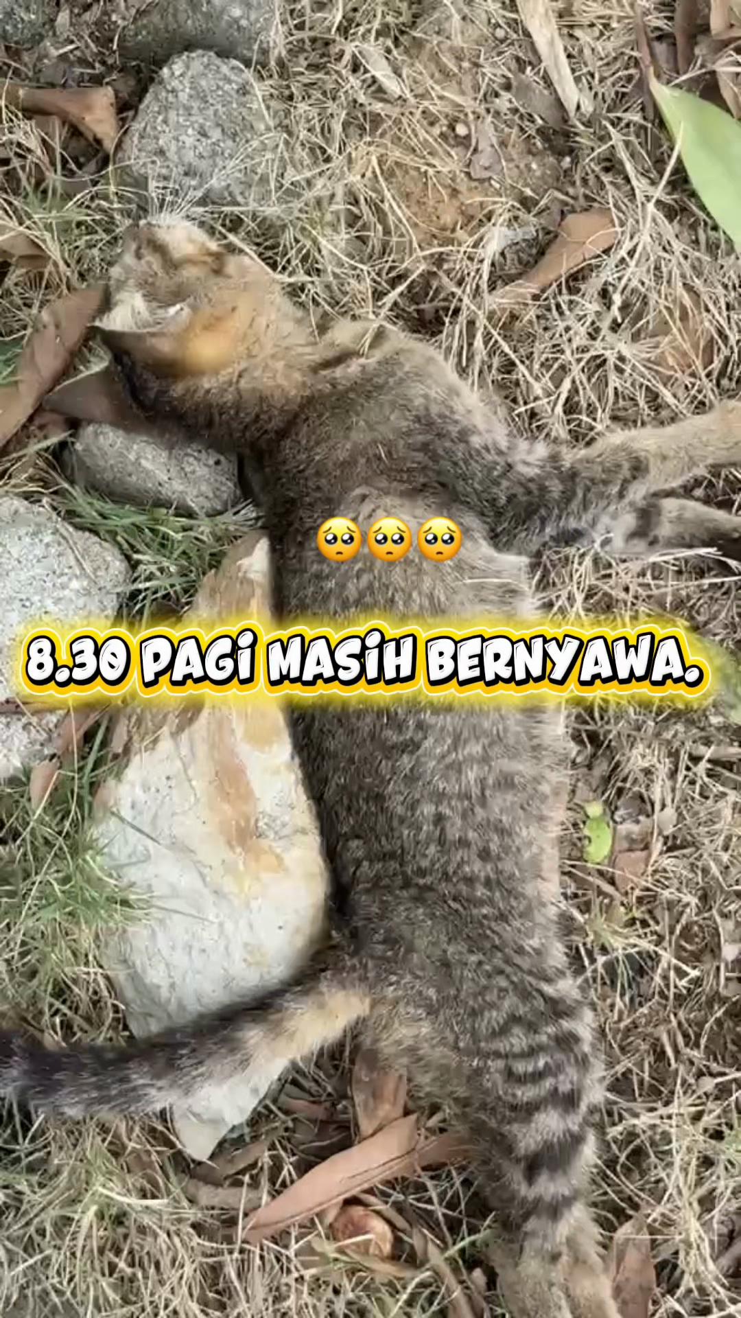 @zurina hashim