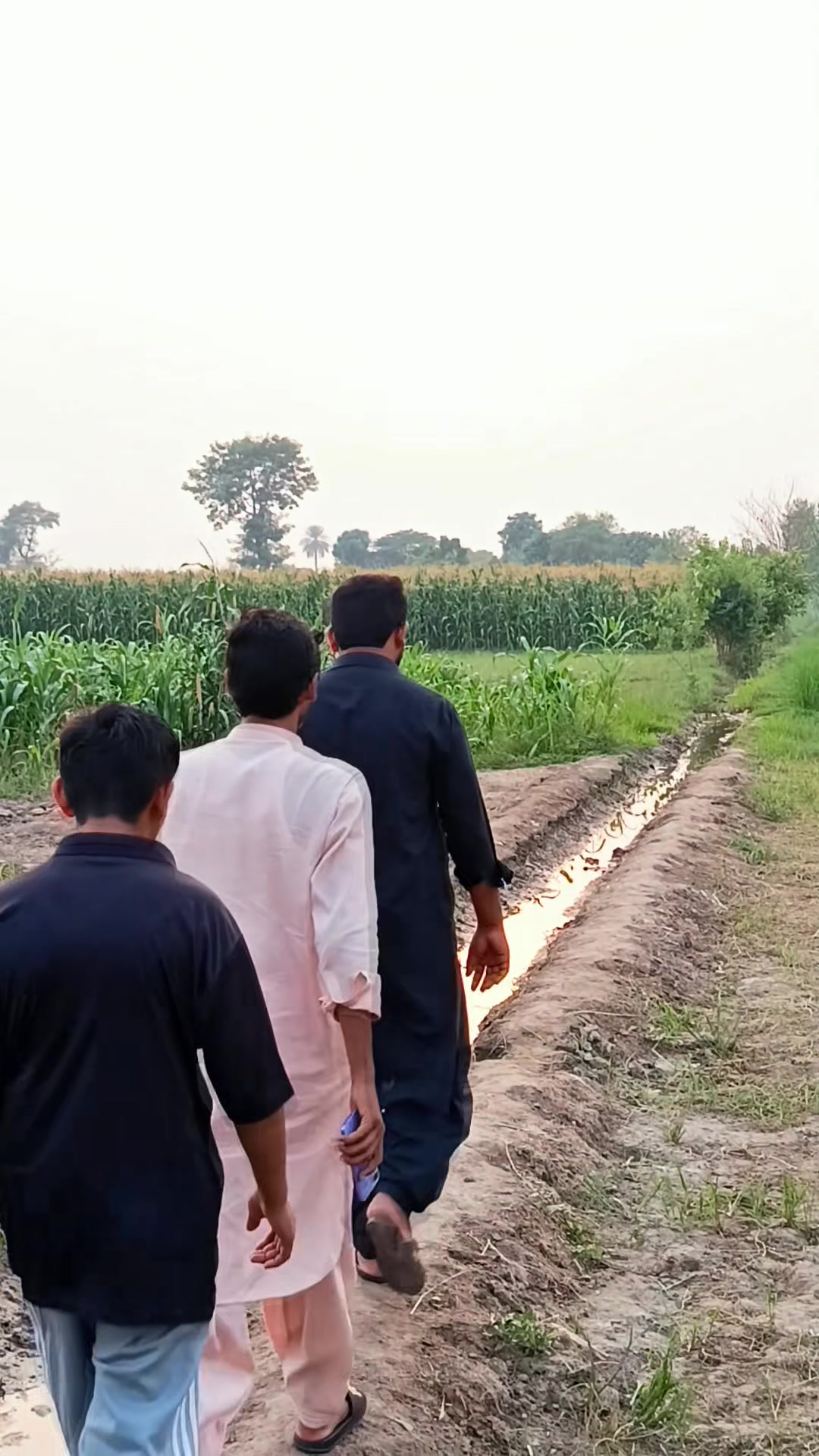 @Irfan_Saif_Joyia❤️