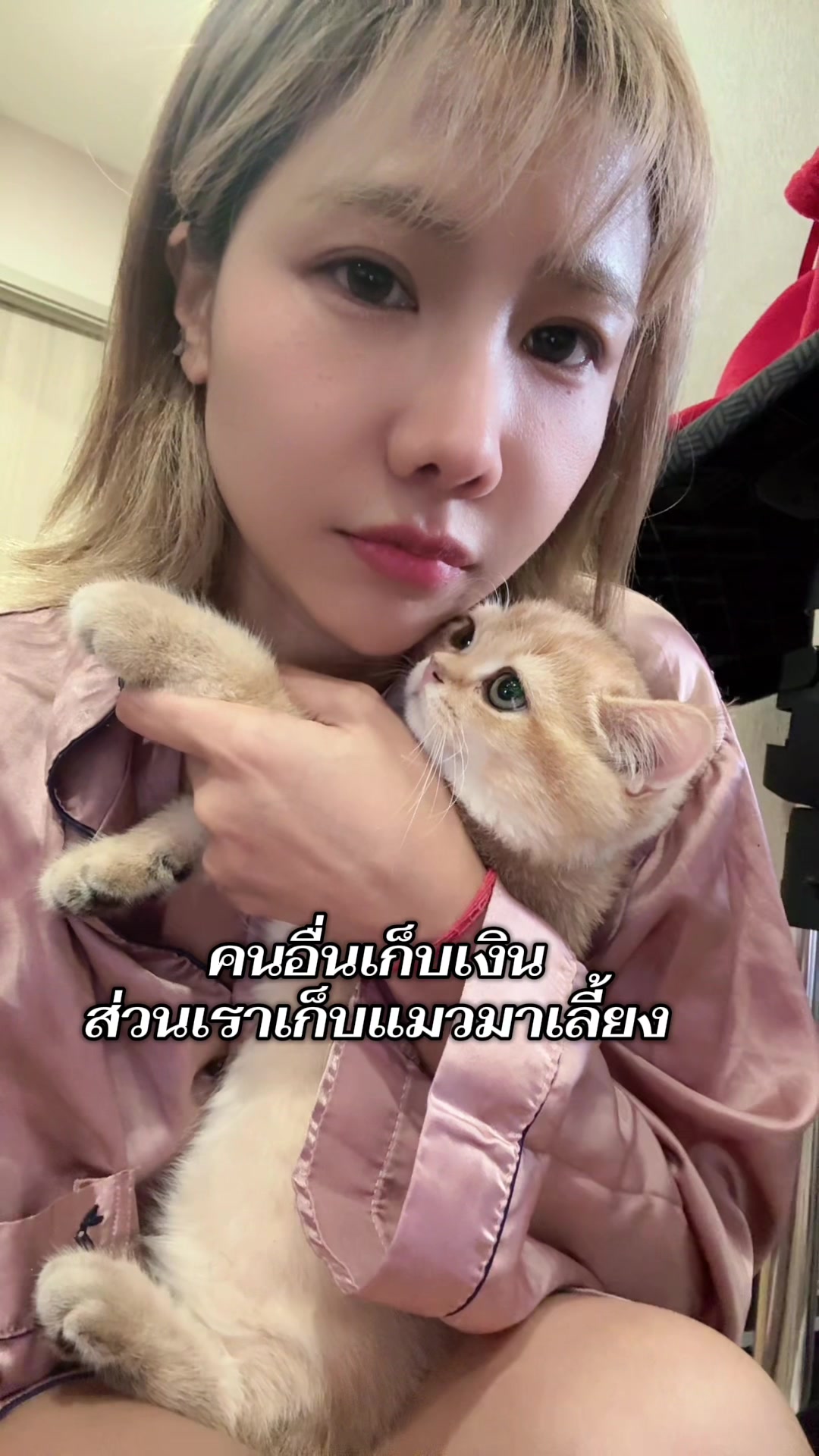 @Djpingping