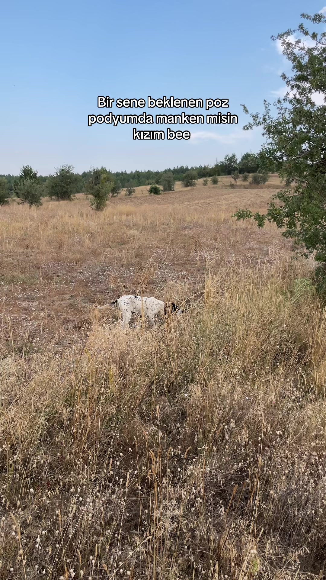 @bakioglu78