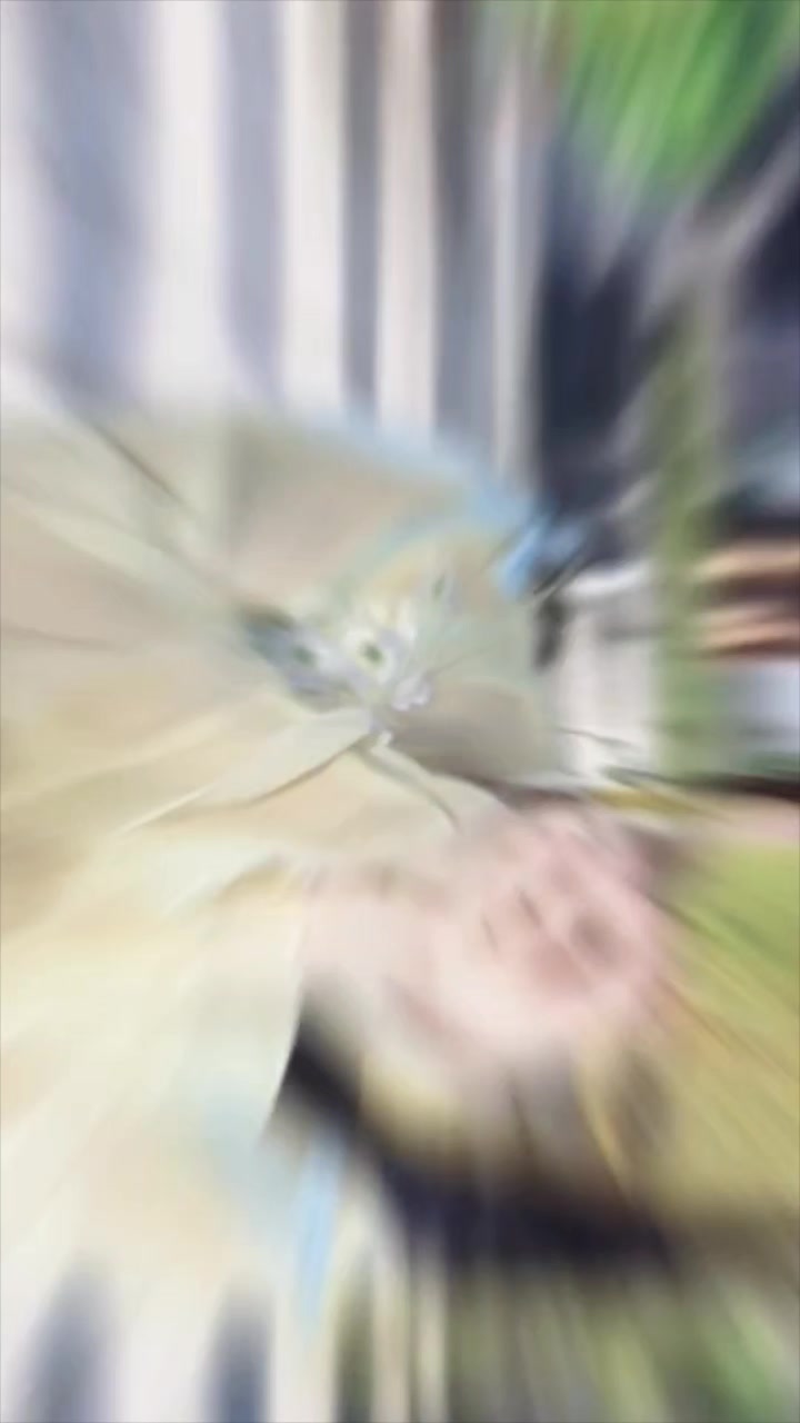@๐ใใณใฏใใฆใ๐ฅ๐ธ