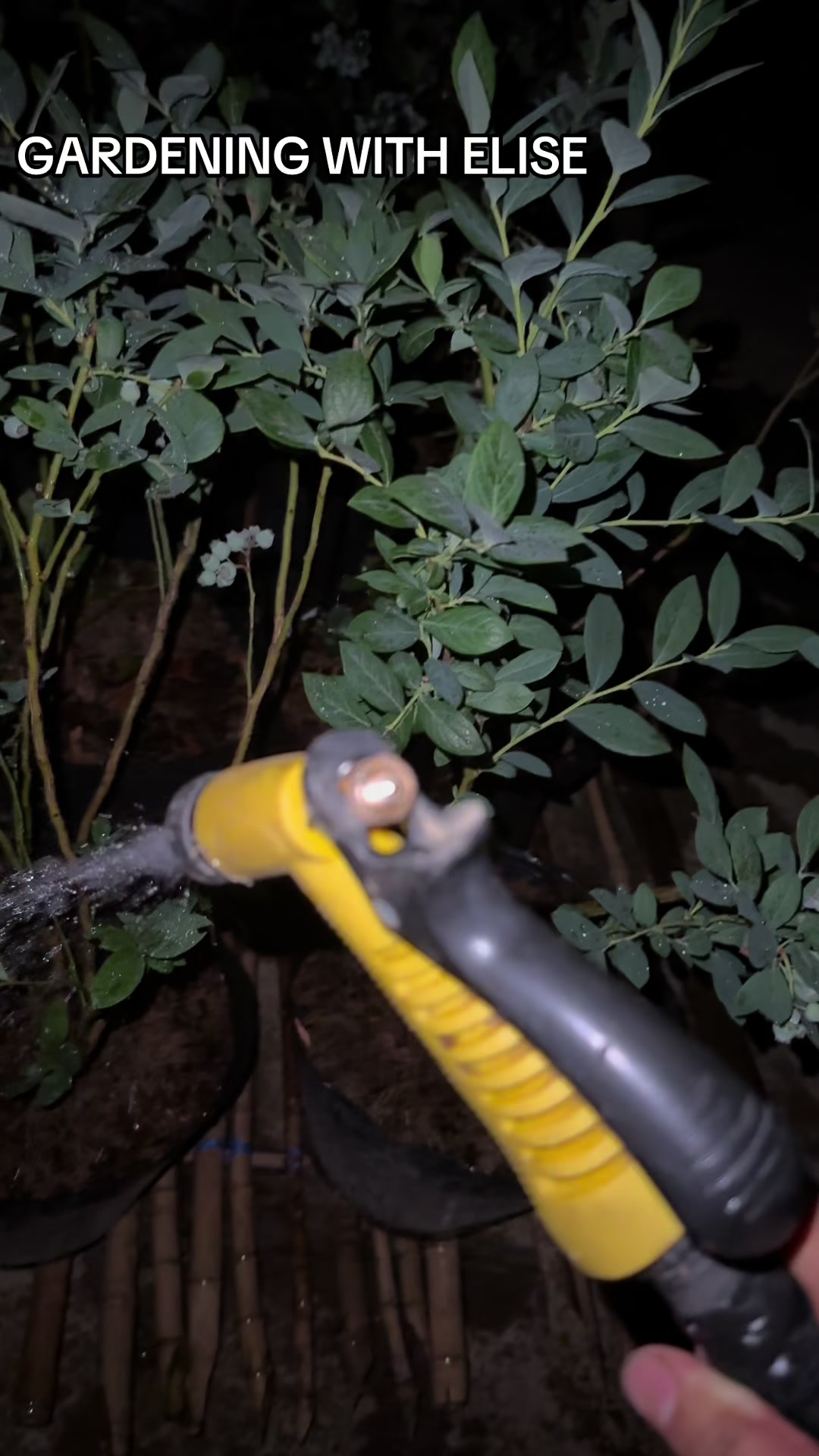 @Gardening with ELISE
