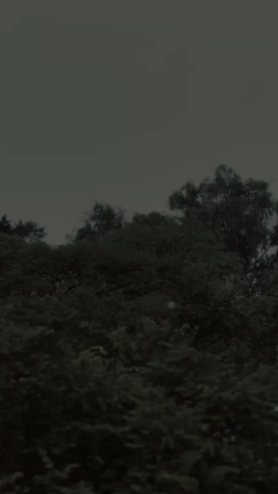 @< 𝐀 𝐌 𝐄 𝐄 𝐒 𝐇 𝐀 🕊️ ᥫᩣ
